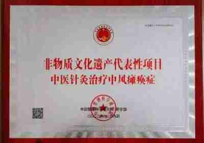 中国医学2025元旦特别报道 当代著名中医专家---王先芝