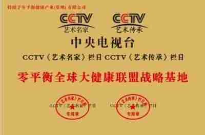 陈林峰零平衡量子哲学泰斗接受菲利浦·武亚诺维奇、博里斯·塔迪奇、伊沃·约约西波维奇三位前总统阁下会晤