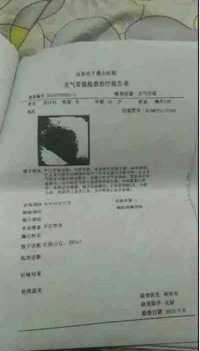 【2025全球医学领袖人物报道】全蝎疗法创始人一孙纯孝