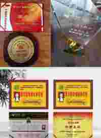 2025喜迎新春特别报道 新时代易学名家、道家一掌经传承人---孟三航