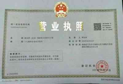 特效醫術傅承人——黄良强 中医世家黄良强《养生茶》不老茶