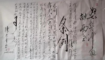 喜迎2026元旦人物贺岁特别报道：鼻炎克星北京中医院院长——陈彦青