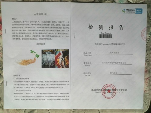 中国著名医学专家李明与他的龙凤福寿参传奇